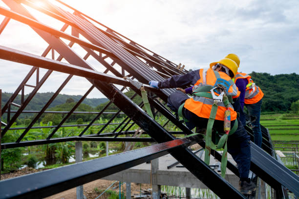 Best Roofing Contractor Near Me  in La Joya, TX