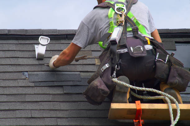 Best Commercial Roofing Services  in La Joya, TX