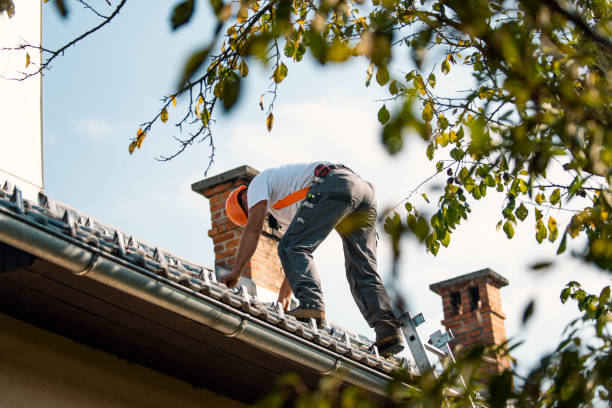Best Slate Roofing Contractor  in La Joya, TX