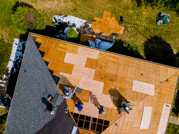 Best Roof Gutter Cleaning  in La Joya, TX