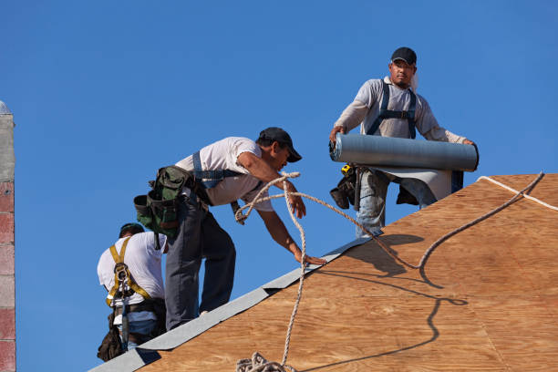 Reliable La Joya, TX Roofing Contractor Solutions