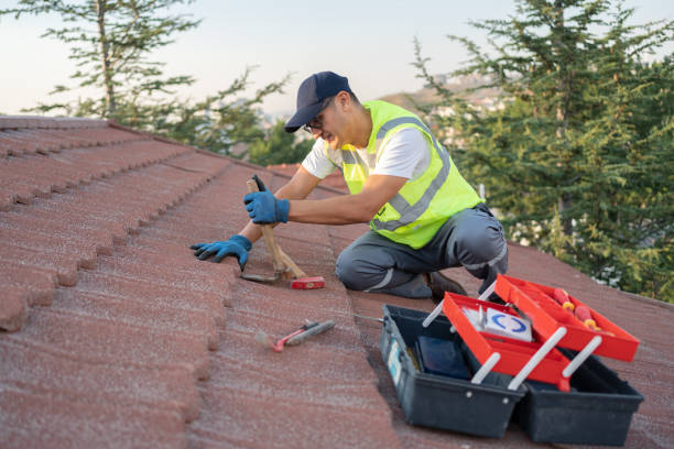 Best New Roof Installation  in La Joya, TX